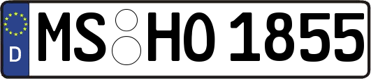 MS-HO1855
