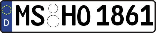 MS-HO1861