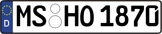 MS-HO1870