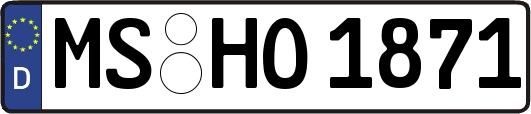 MS-HO1871