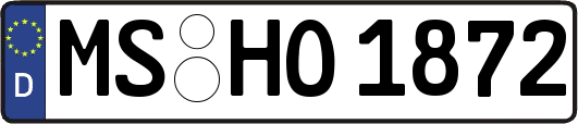 MS-HO1872