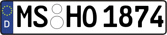 MS-HO1874