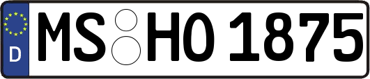 MS-HO1875