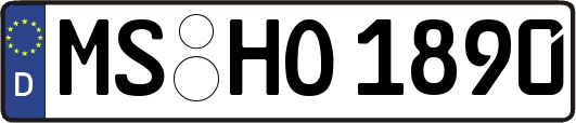 MS-HO1890