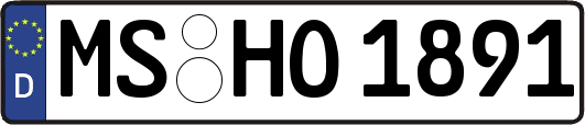 MS-HO1891