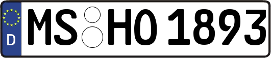 MS-HO1893