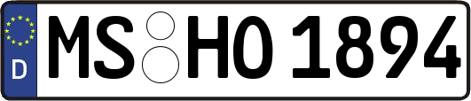 MS-HO1894
