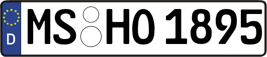 MS-HO1895