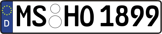 MS-HO1899