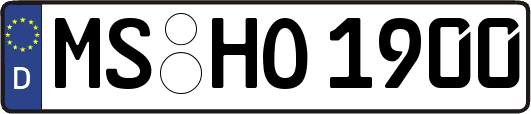 MS-HO1900
