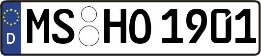MS-HO1901
