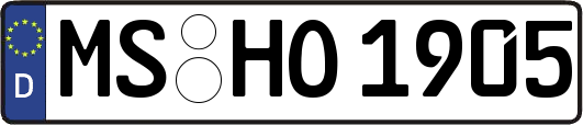 MS-HO1905