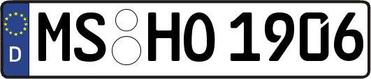 MS-HO1906