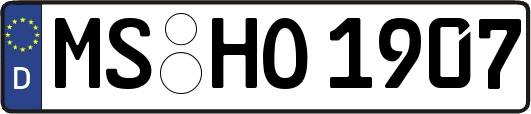 MS-HO1907