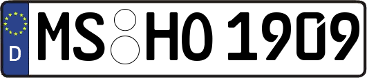 MS-HO1909