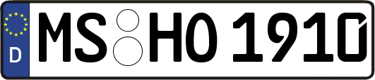 MS-HO1910