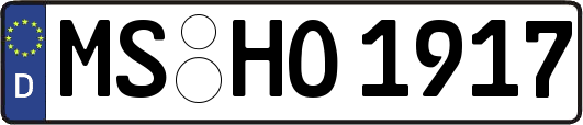 MS-HO1917