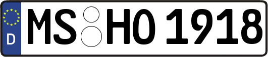 MS-HO1918