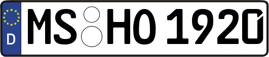 MS-HO1920