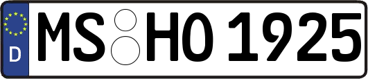 MS-HO1925