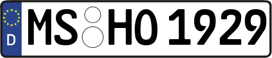 MS-HO1929