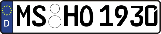 MS-HO1930