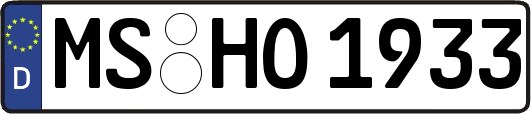 MS-HO1933