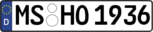 MS-HO1936