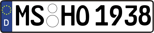 MS-HO1938