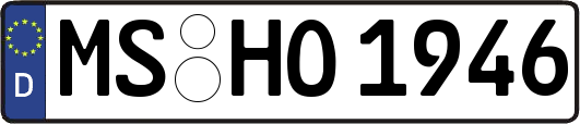 MS-HO1946
