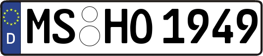 MS-HO1949