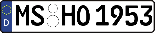 MS-HO1953