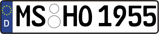 MS-HO1955