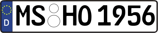 MS-HO1956
