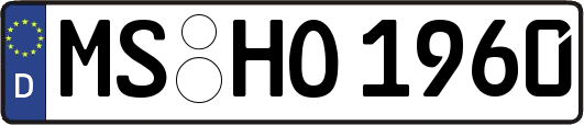 MS-HO1960