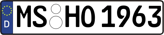 MS-HO1963