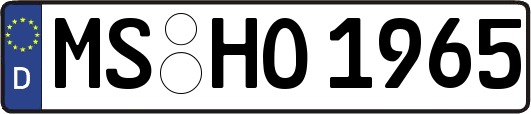 MS-HO1965