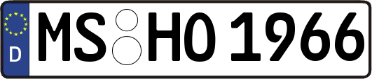 MS-HO1966