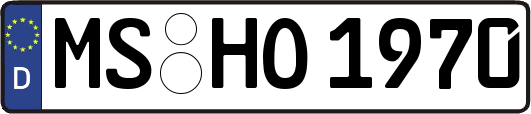 MS-HO1970