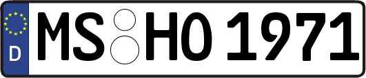 MS-HO1971