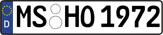 MS-HO1972