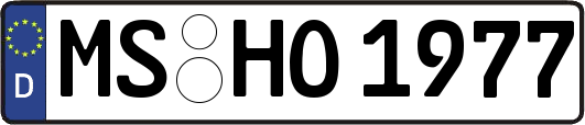 MS-HO1977