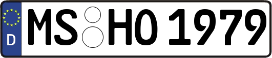 MS-HO1979