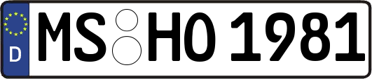 MS-HO1981