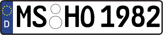MS-HO1982