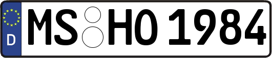 MS-HO1984