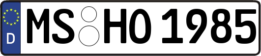MS-HO1985