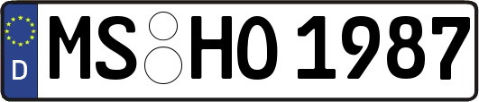 MS-HO1987