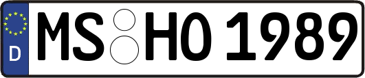 MS-HO1989