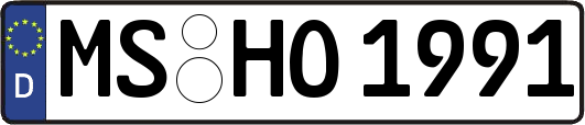 MS-HO1991